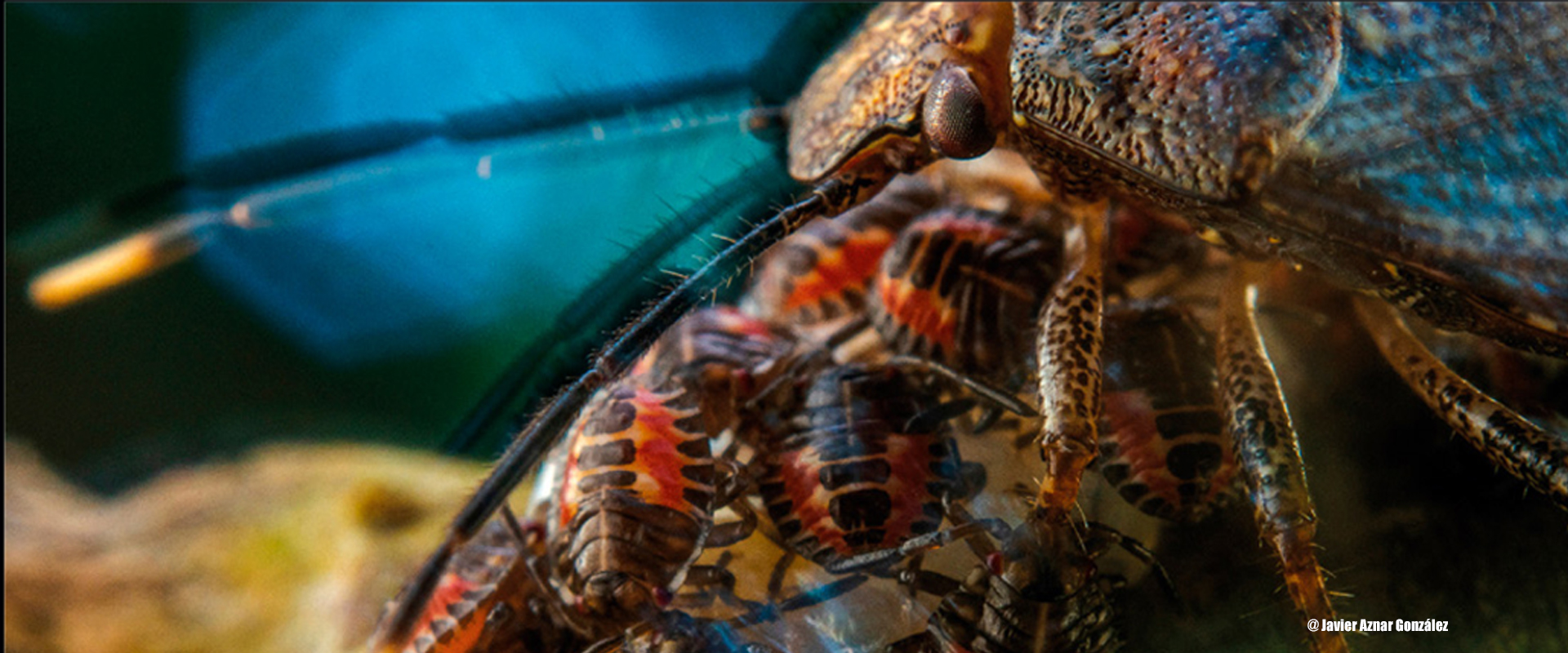 Exposición Vida Salvaje en imágenes en Museo de la Ciencia