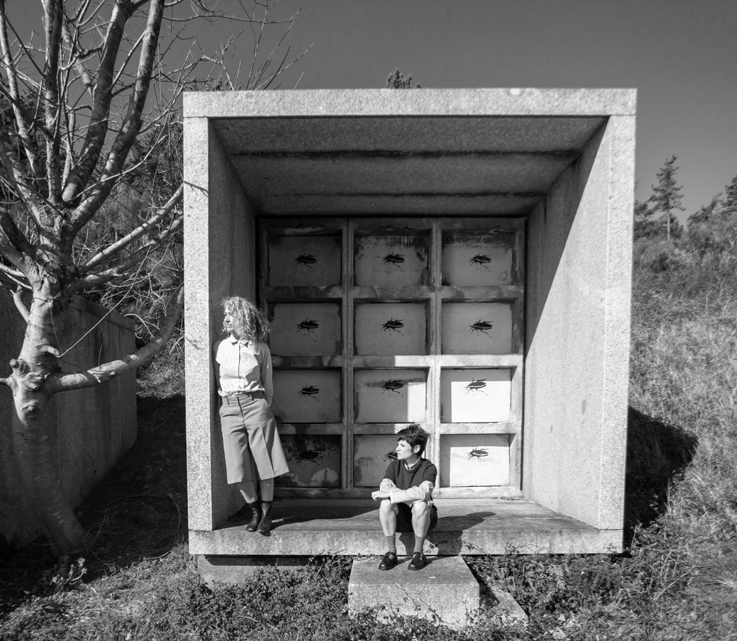 LAVA temporada 2025/26