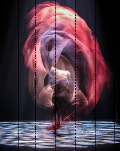  El paraíso de los negros