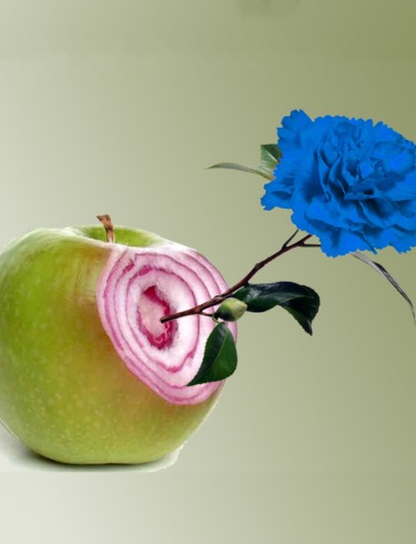  Increible pero falso 2026