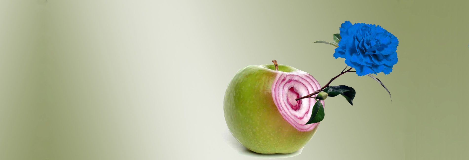  Increible pero falso 2026