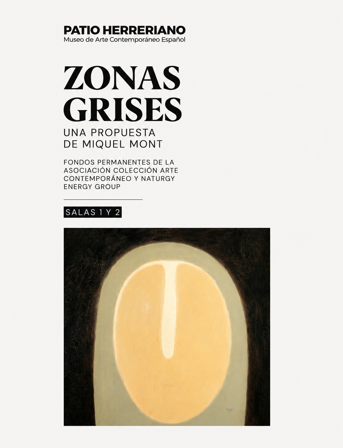 Slide Zonas grises