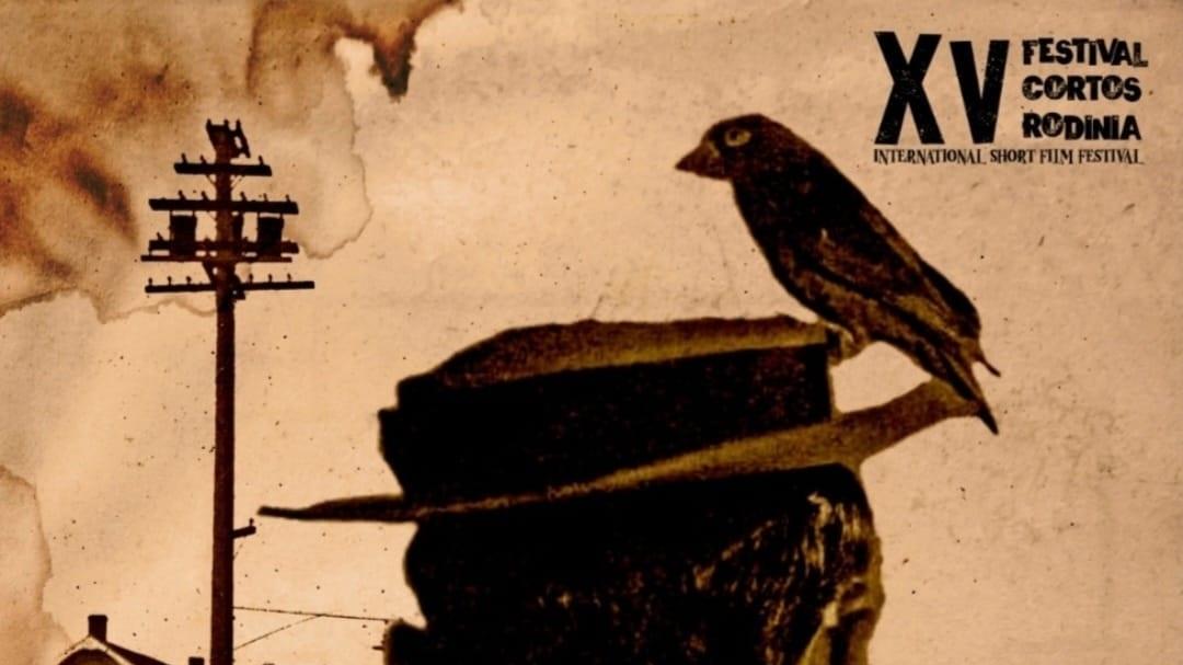 Cartel del XV Festival de Cortometrajes Rodinia