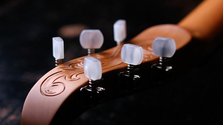 Detalle de un laúd