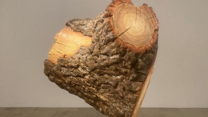 Exposición Árbol de Enrique Reche