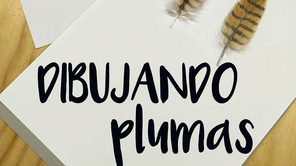 Dibujando plumas