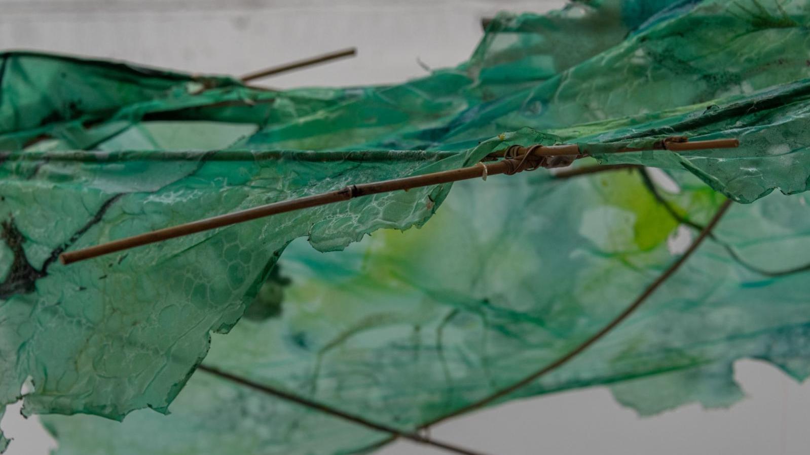 Exposicion Esther Gatón museo patio herreriano