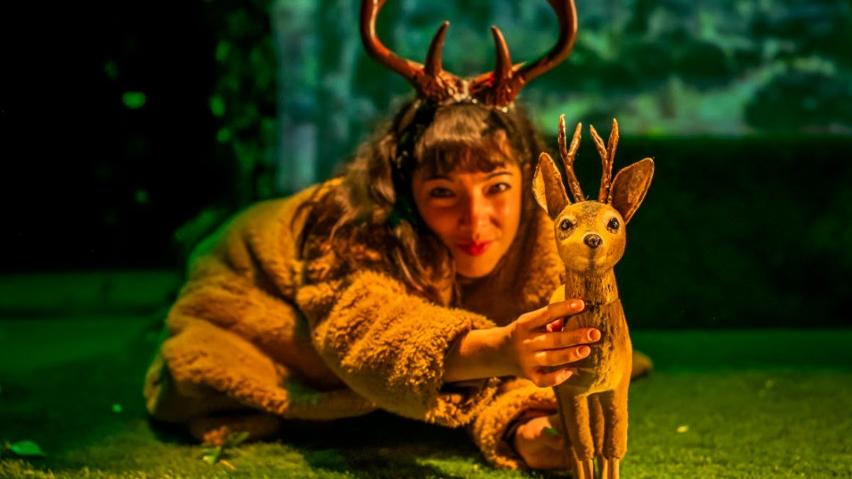 bambi teatro calderon