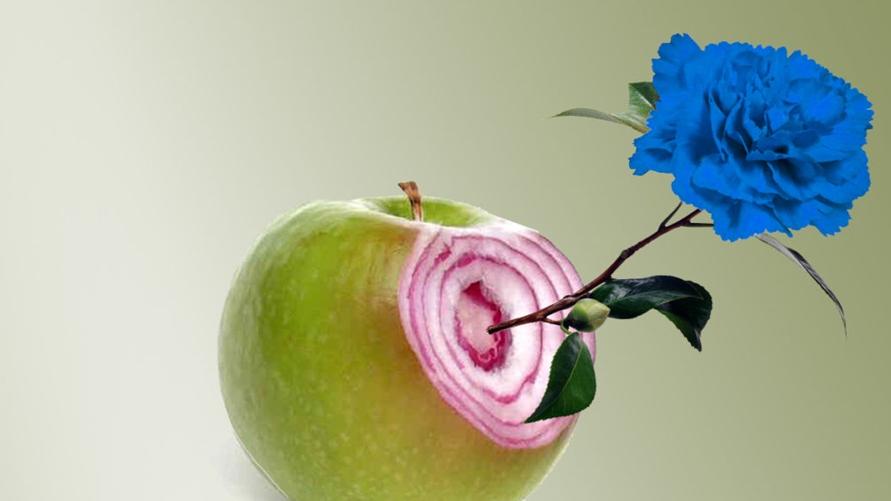 Increible pero falso 2026