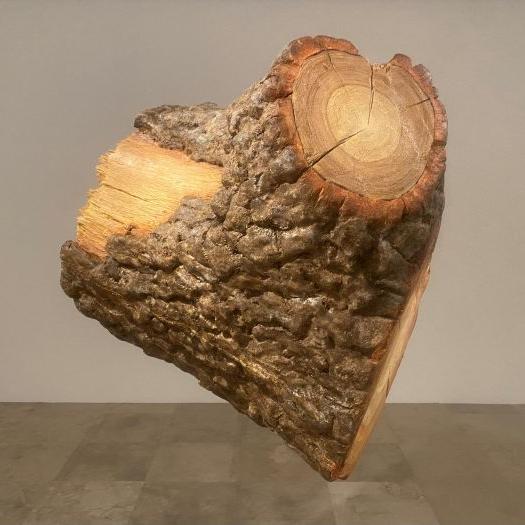Imagen exposición Árbol