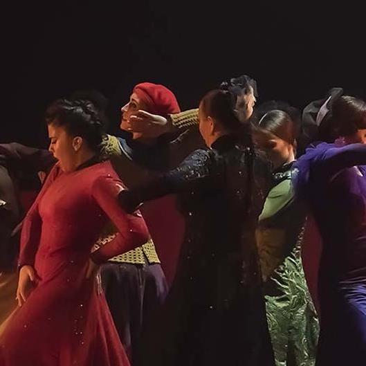 Espectáculo de danza flamenca homenaje a Pablo Picasso
