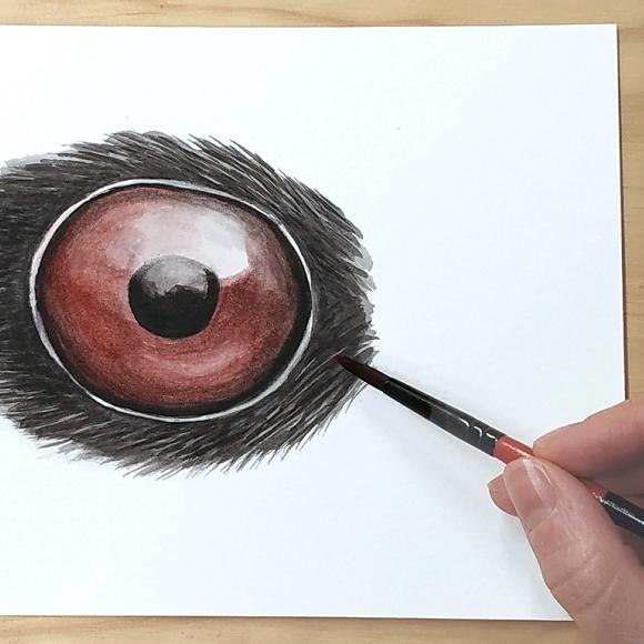 Taller ojos de acuarela