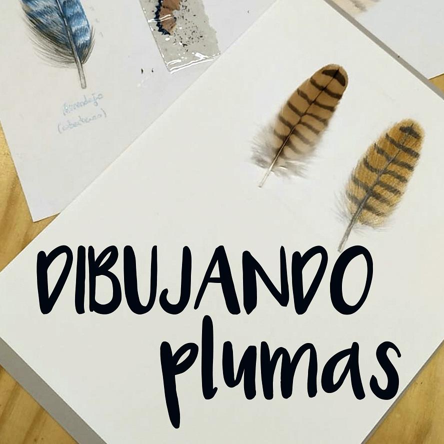 Dibujando plumas