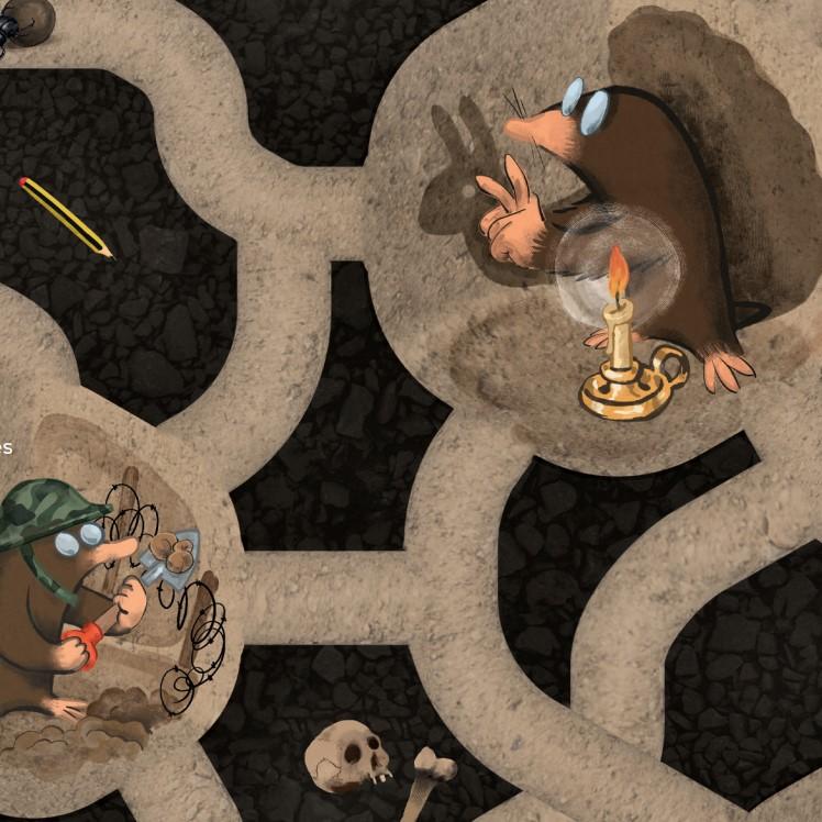 Festival Valladolid Piensa