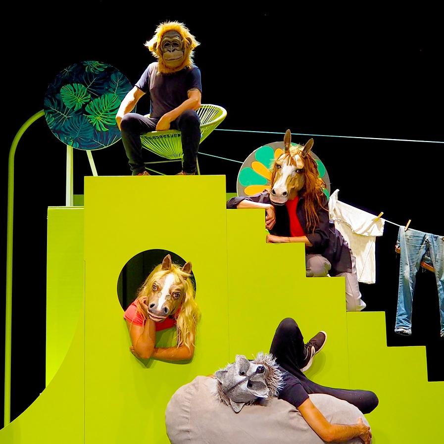 Navidad LAVA Valladolid