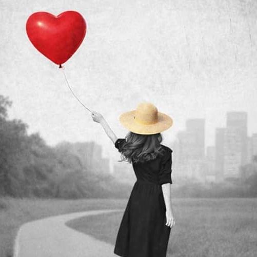 Libro un paseo por la vida