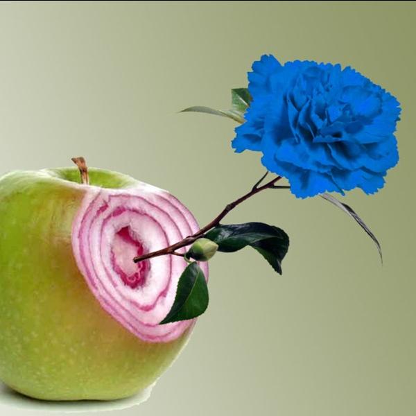 Increible pero falso 2026