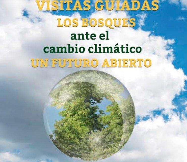 cartel visitas guiadas bosque y cambio climatico