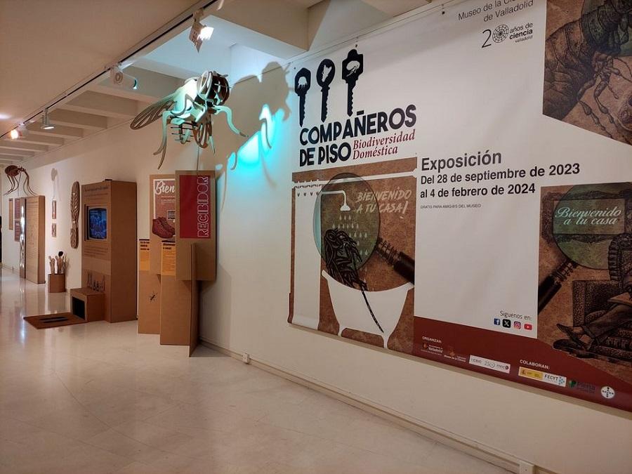 Exposición en el Museo de la Ciencia