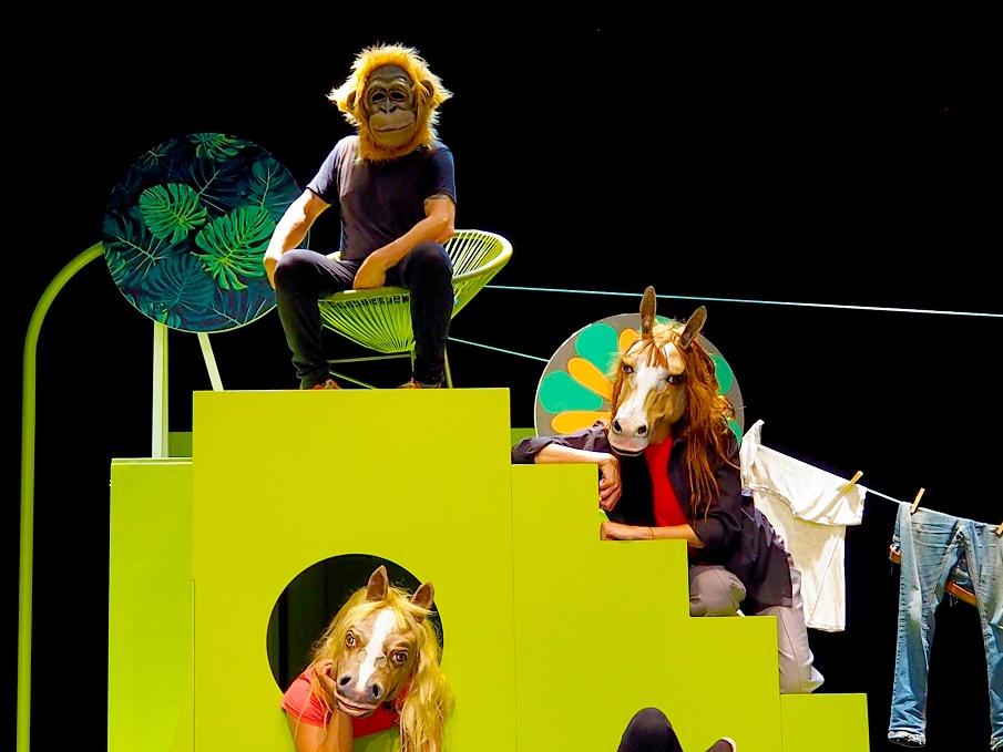 Navidad LAVA Valladolid