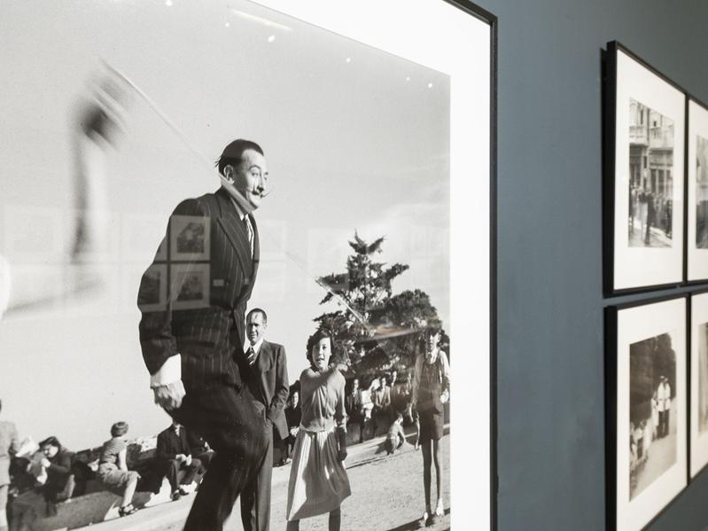 la lucidez en la mirada