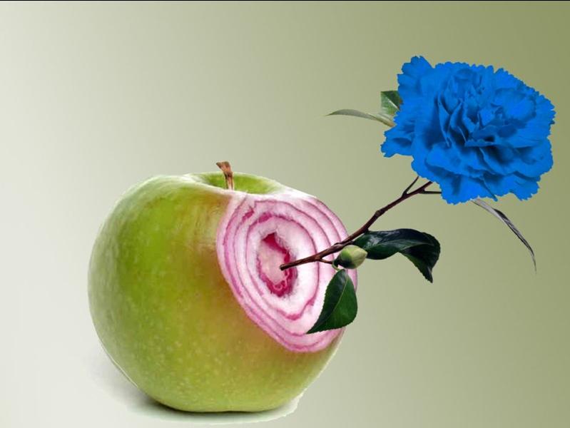 Increible pero falso 2026