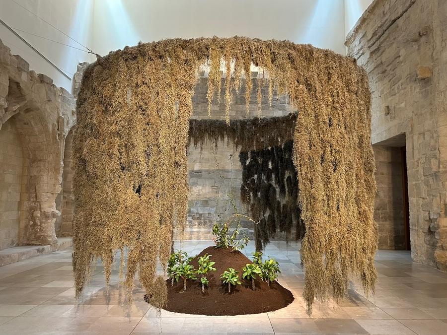 ora pro nobis exposicion patio herreriano
