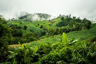 América selva