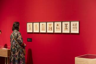 Exposición Mundus Novus