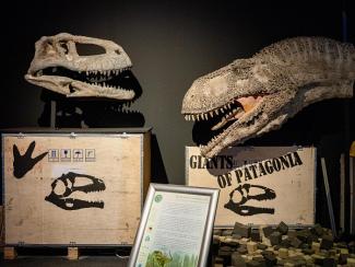 Gigantes de la Patagonia Museo de la Ciencia
