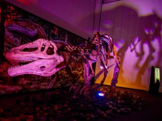 Gigantes de la Patagonia Museo de la Ciencia