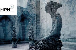 Taller halloween museo patio herreriano