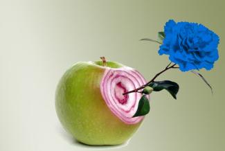 Increible pero falso 2026